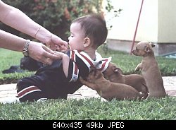 Нажмите на изображение для увеличения
Название: puppy_help.jpg
Просмотров: 381
Размер:	49.5 Кб
ID:	1971